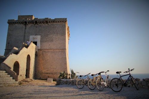 Cicloturismo ecologico in e-bike Visit Nard
